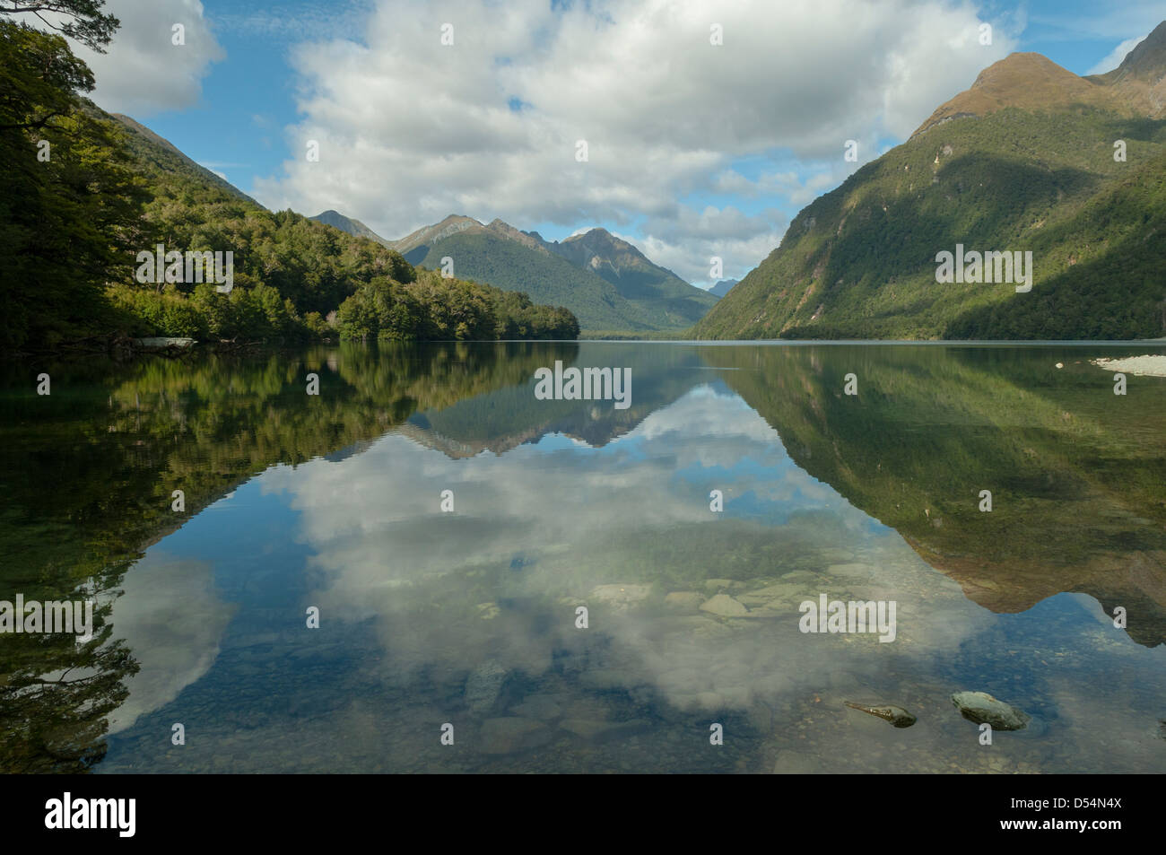 Riflessi nel lago Gunn, Fiordland, Nuova Zelanda Foto Stock