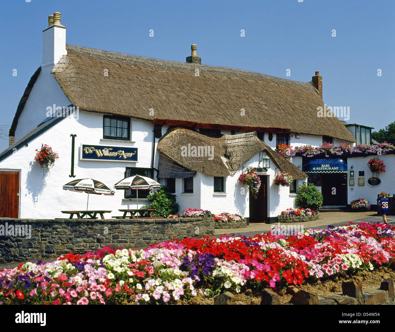 Xvi secolo con tetto di paglia di Williams Arms Pub, Wrafton Road, Braunton, Devon, Inghilterra, Regno Unito Foto Stock