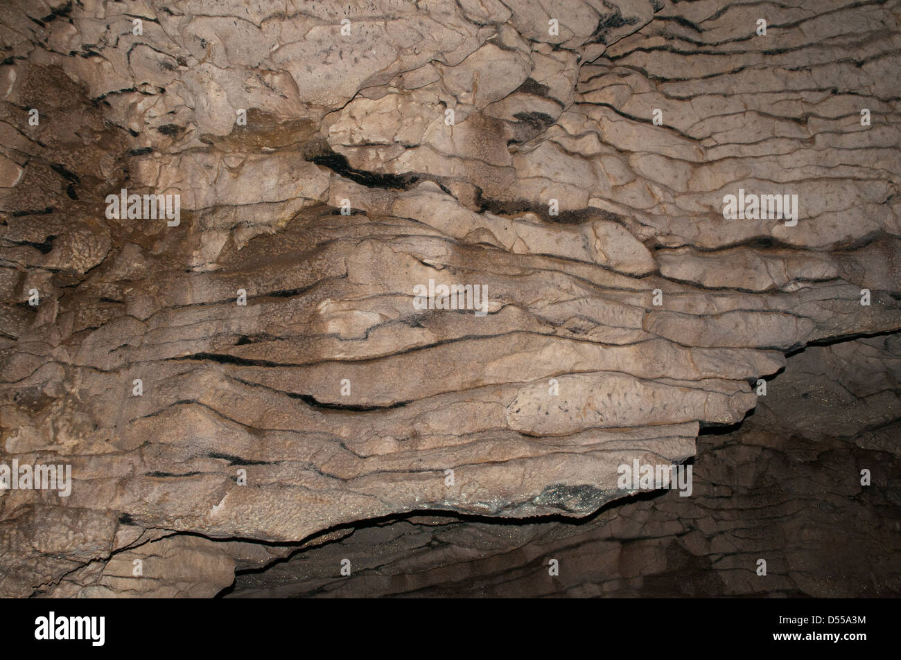 Formazioni calcaree e arazzi di cristallo nella caverna di Ruakuri nel distretto di Waitomo in Nuova Zelanda. Tropfsteine der Ruakuri-Höhle Foto Stock