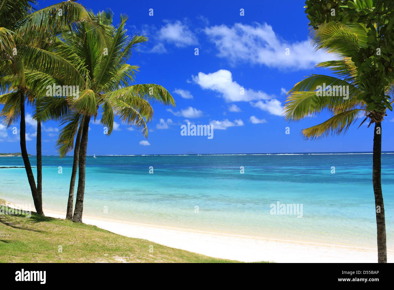 Bellissima spiaggia in isola Maurizio con palme e oceano Foto Stock