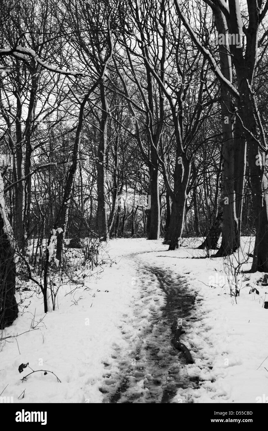 Neve in inverno a Scena e dintorni Billinge, Merseyside acquisiti in bianco e nero prevalentemente boschiva, torrenti e terreni agricoli Foto Stock