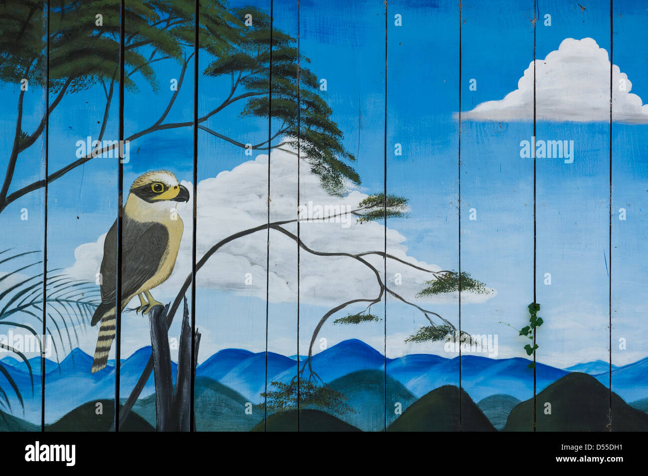 Murale dipinto a Las Puma Animal Rescue Center in Cañas, provincia di Guanacaste in Costa Rica. Foto Stock