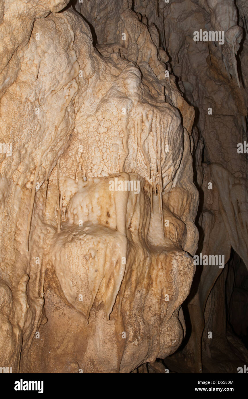 Formazioni calcaree e arazzi di cristallo nella caverna di Ruakuri nel distretto di Waitomo in Nuova Zelanda. Tropfsteine der Ruakuri-Höhle Foto Stock