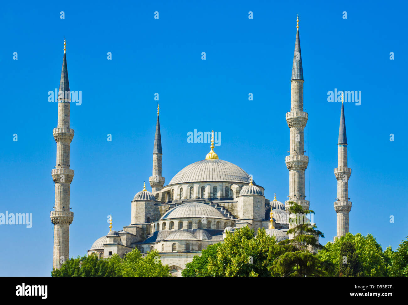 La Moschea Blu (Sultan Ahmet Camii) con cupole e minareti, Sultanahmet, Istanbul, Turchia Foto Stock