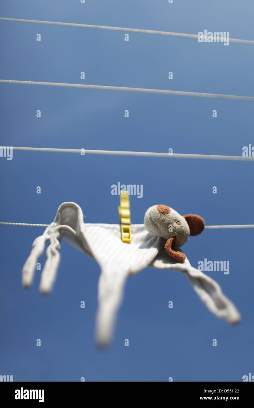 Handewitt, Germania, un peluche si blocca dopo il lavaggio in linea Foto Stock