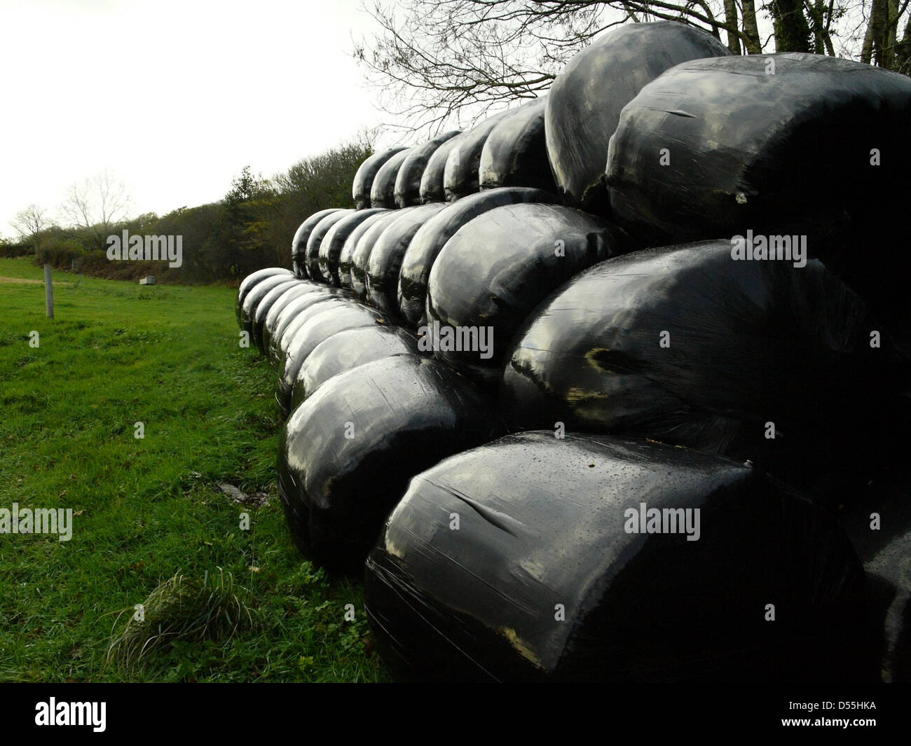 Una pila di plastica sigillato fieno in un campo Foto Stock