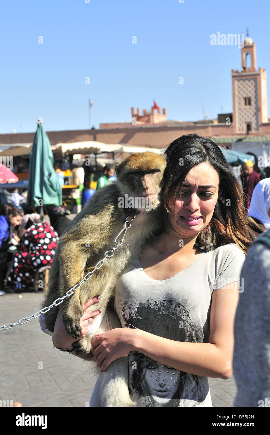 Una catena di Barberia monkey pone per la fotocamera con un turista femminile in Piazza Jemaa El Fna ( piazza) . Marrakech, Marocco Foto Stock