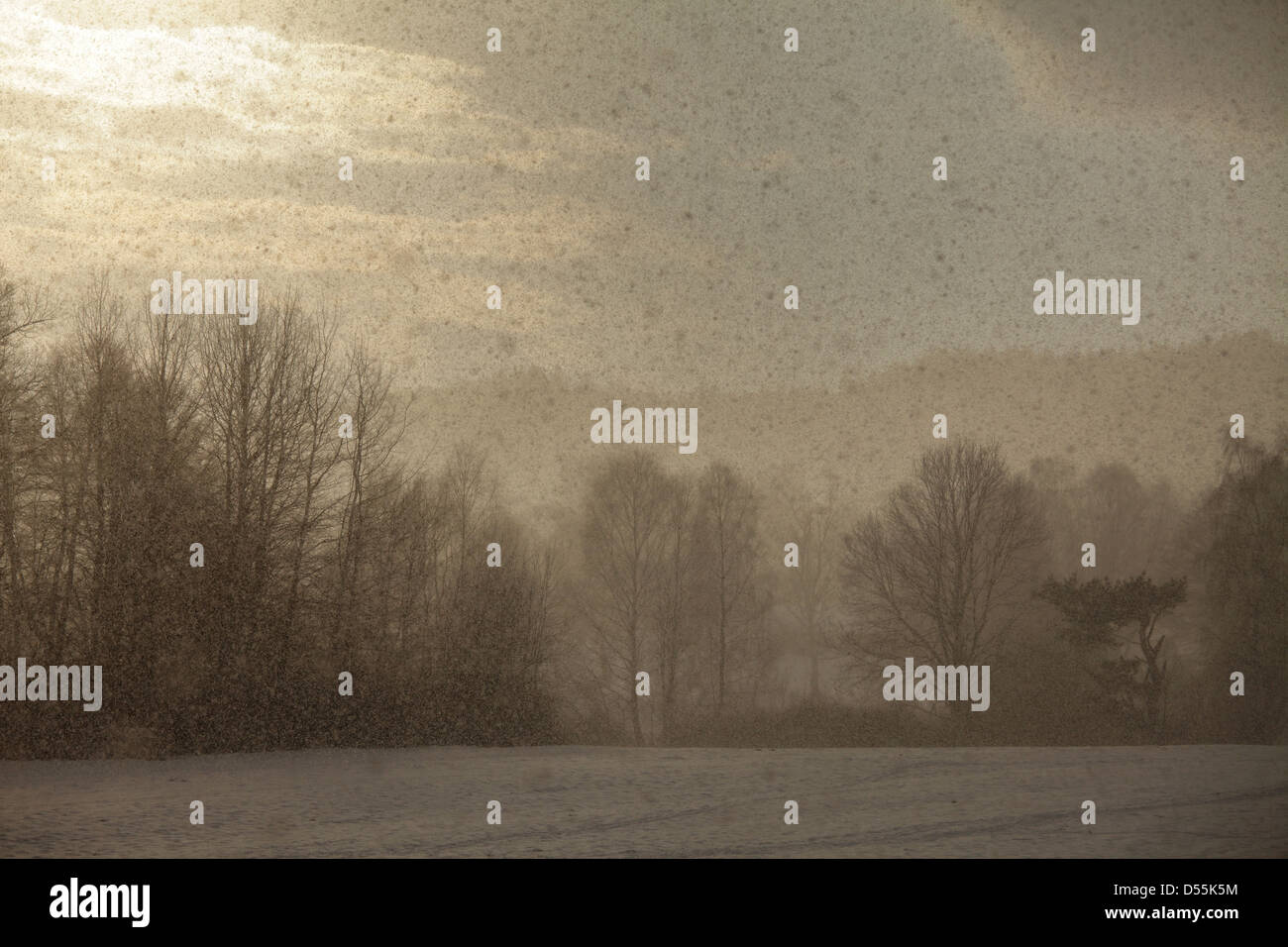 Labbra, Repubblica Ceca, nevicata Lipno nella foresta Boema Foto Stock