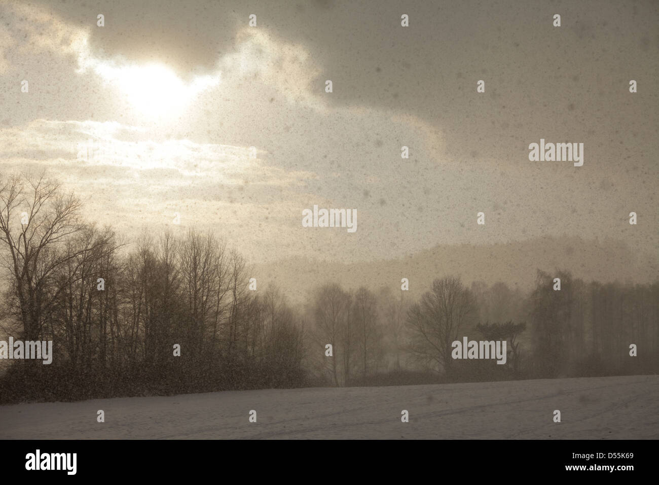 Labbra, Repubblica Ceca, nevicata Lipno nella foresta Boema Foto Stock