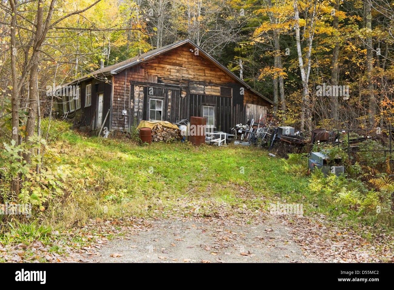 Vecchia carta di catrame shack nei boschi. Foto Stock