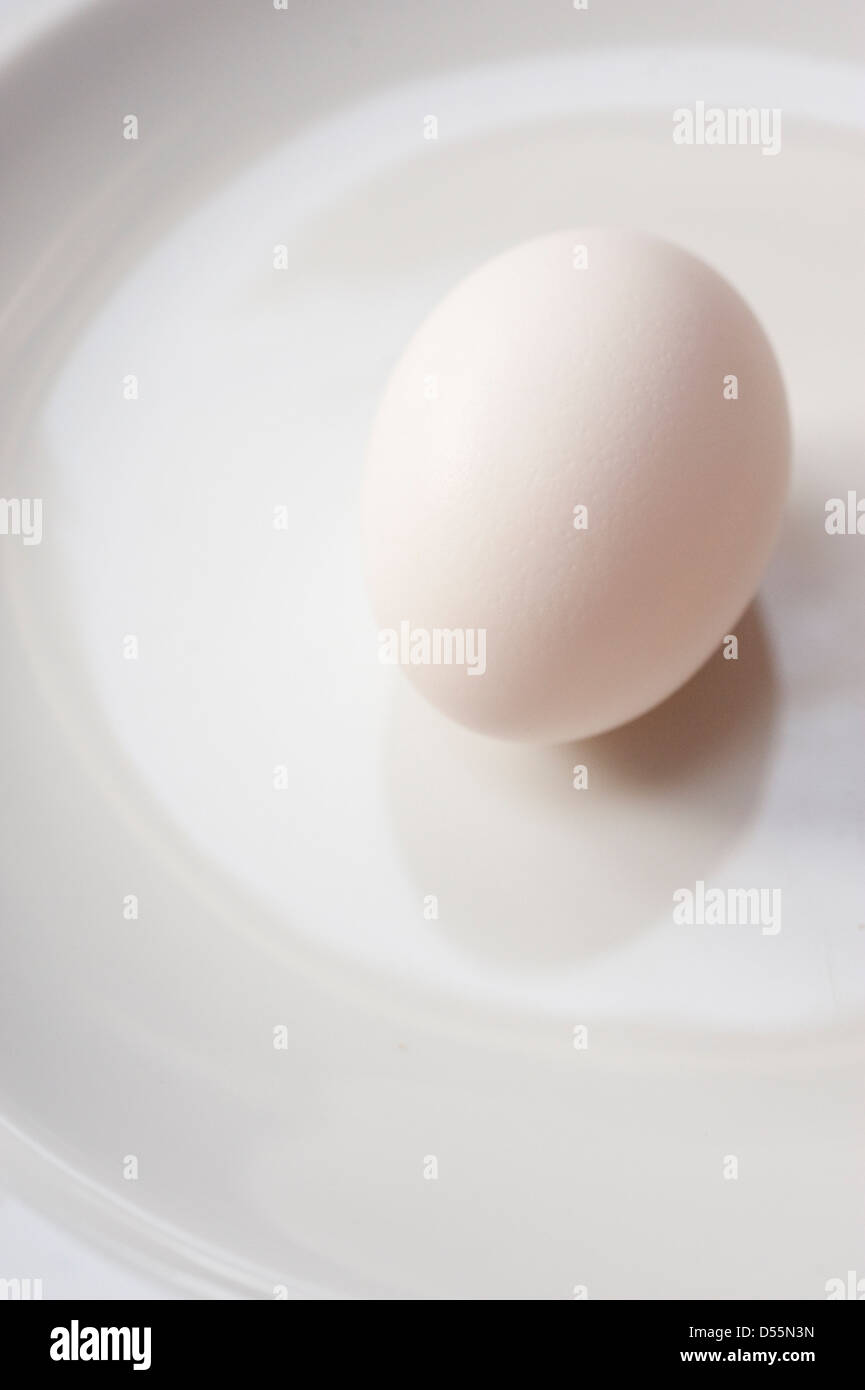 Uovo bianco seduto su un piatto bianco cina, Studio shot Foto Stock