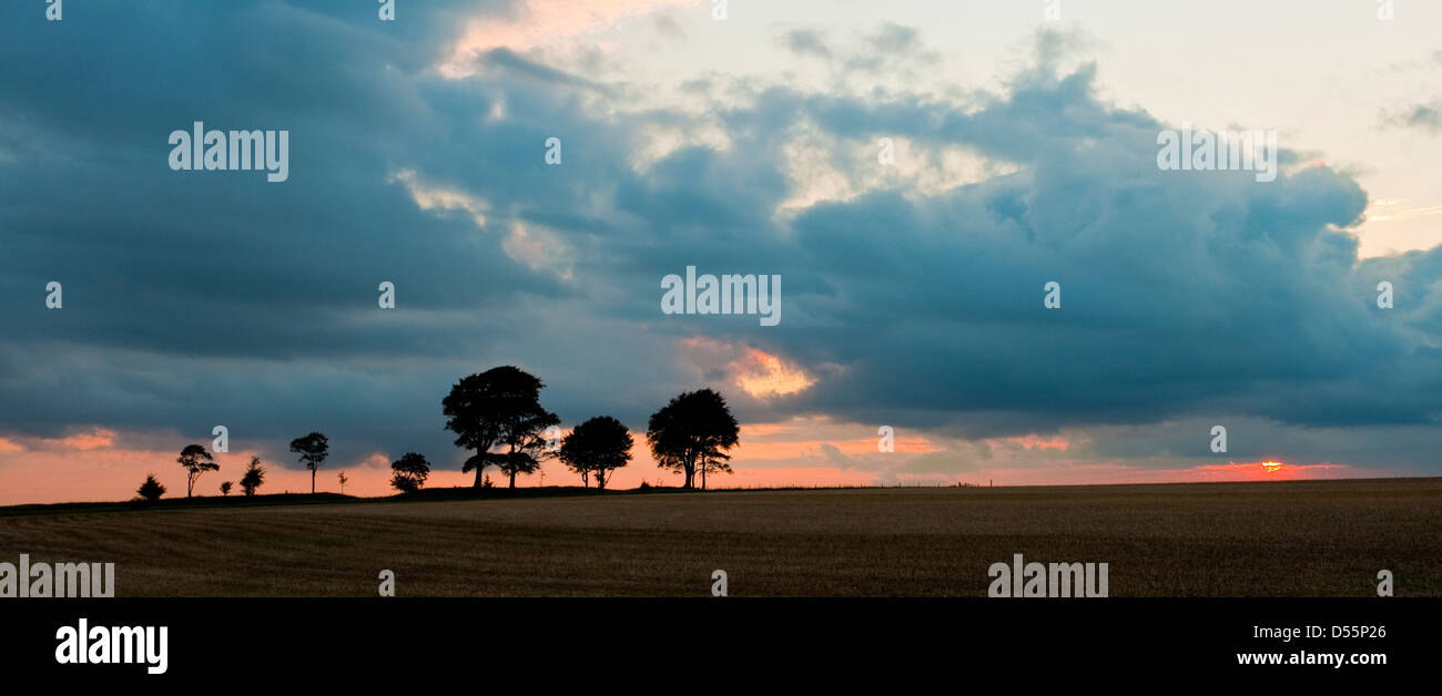 Il Downs sopra Devizes Wiltshire al tramonto Foto Stock