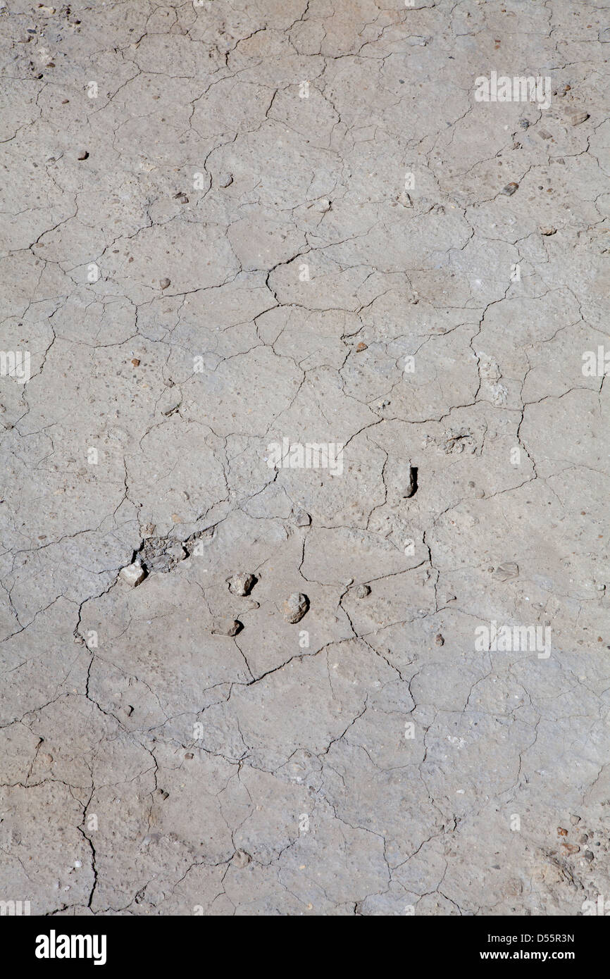 Formazioni di roccia su un paesaggio, monumento rocce, Gove County, Kansas, STATI UNITI D'AMERICA Foto Stock