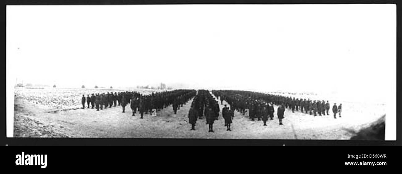 I membri originali di una brigata di fanteria canadese continuarono il loro servizio durante la prima guerra mondiale, illustrando l'impegno a lungo termine in combattimento. Foto Stock