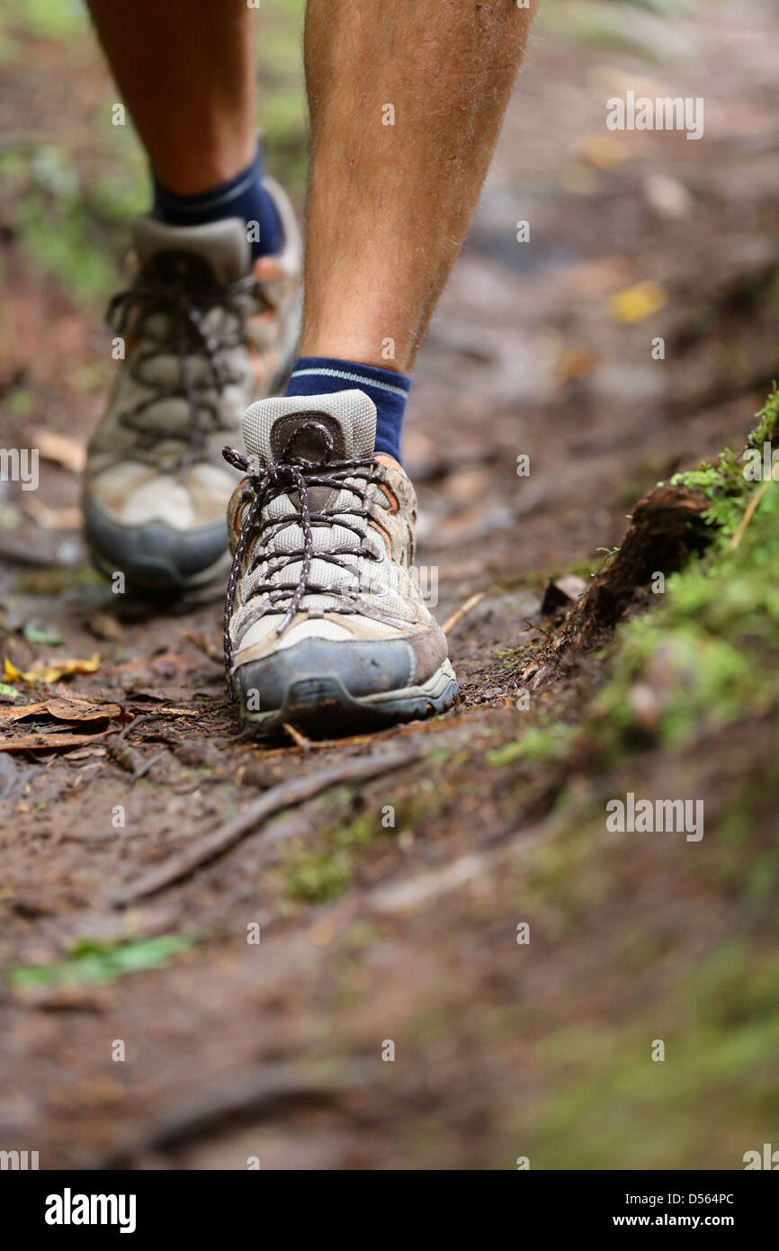 Sezione bassa dei maschi di escursionista gambe con scarpe da escursionismo a piedi nella foresta Foto Stock