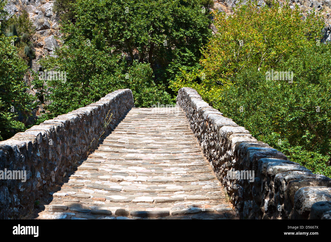 Il vecchio ponte di pietra sul gate di Trikala città della Grecia centrale Foto Stock
