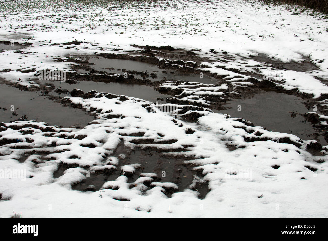 Terreni agricoli del Regno Unito nella neve Foto Stock