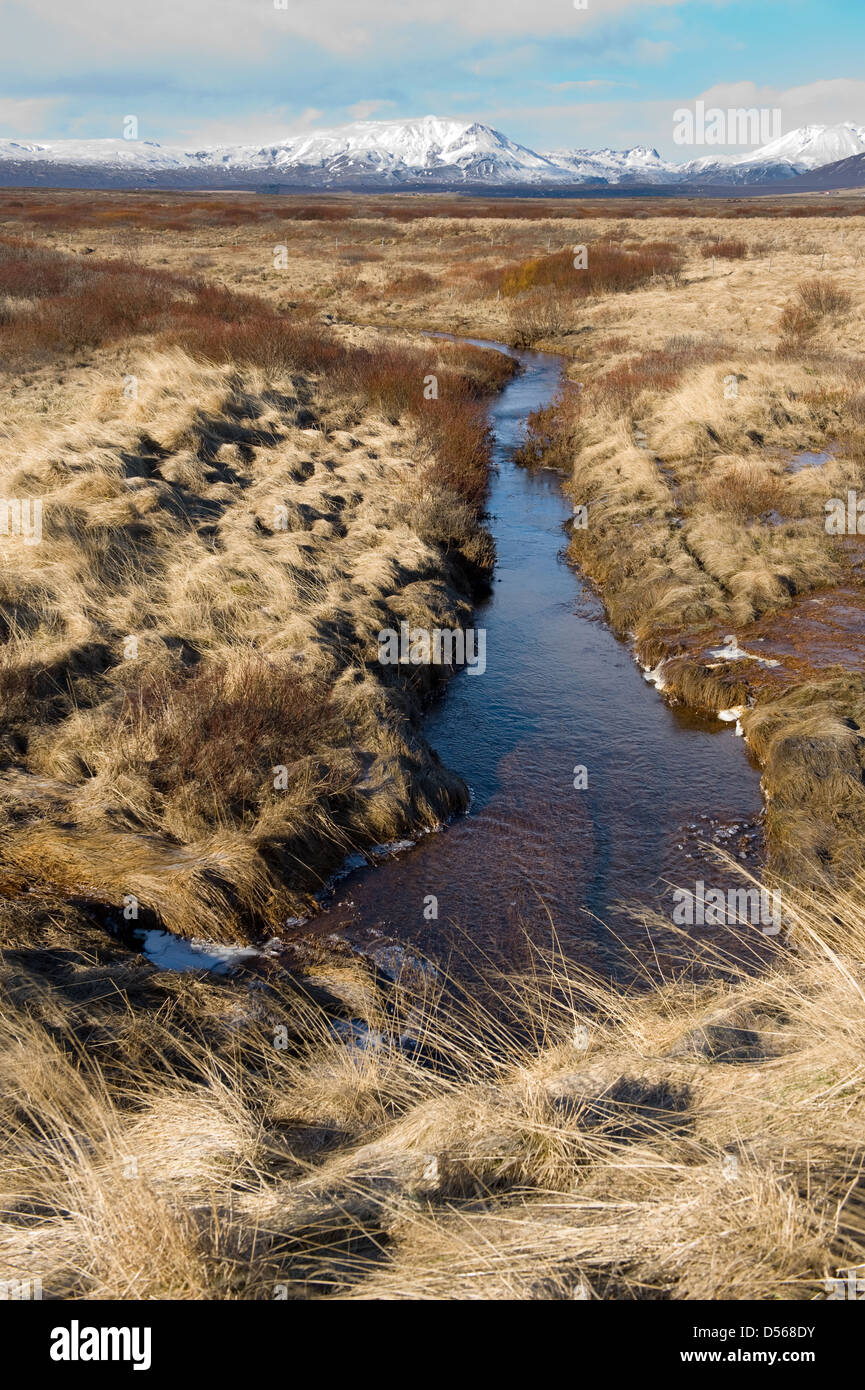Un piccolo fiume che corre attraverso il paesaggio in Islanda in inverno Foto Stock