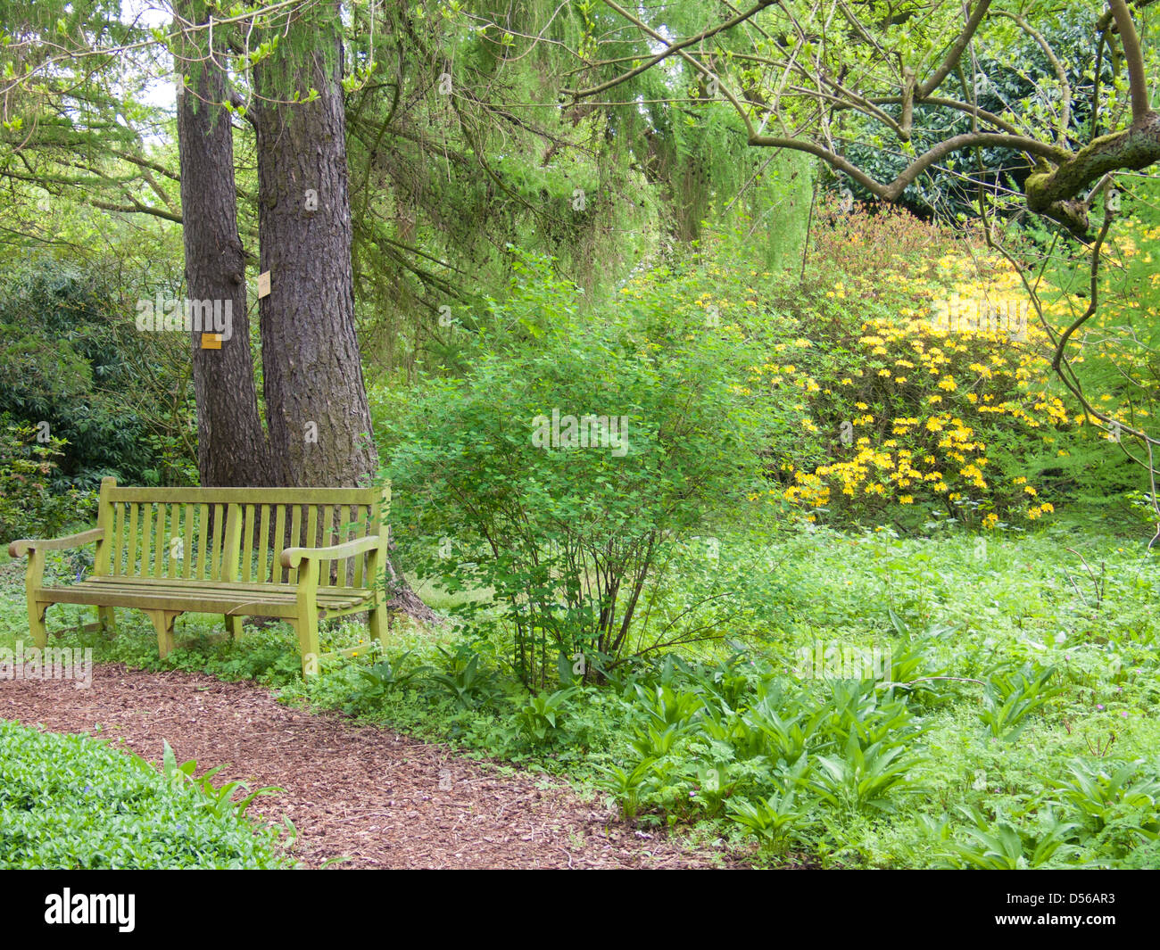 Giardino botanico di,meise,Belgio Foto Stock
