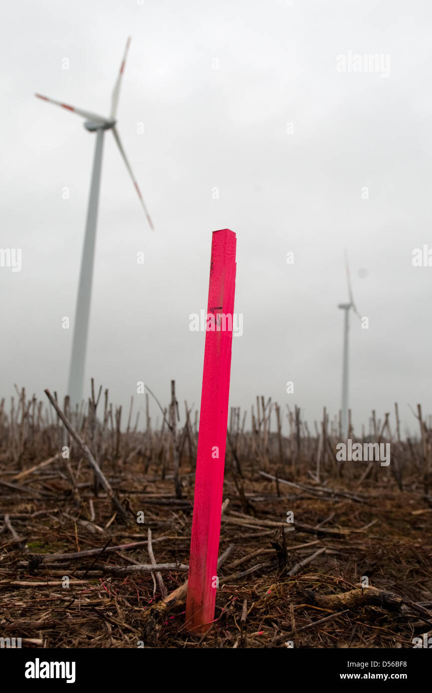 Una partecipazione segna il confine di un campo scelto per una foratura di prova dalla ExxonMobil vicino Nordwalde, Germania, 09 novembre 2010. Il consiglio locale ha approvato i piani del gigante energetico ExxonMobil per condurre il test forature per olio, ora il data mining regionale competente ha per decidere sull'applicazione. Foto: Bernd Thissen Foto Stock