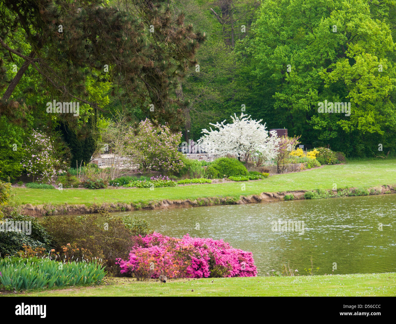 Giardino botanico di,meise,Belgio Foto Stock