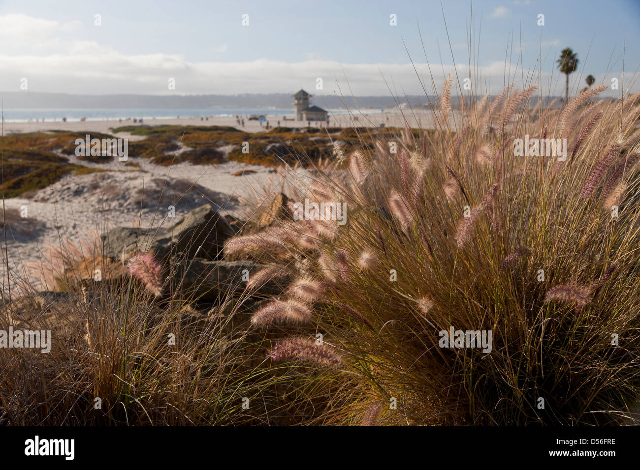 Coronado Beach, Coronado Island, San Diego, California, Stati Uniti d'America, STATI UNITI D'AMERICA Foto Stock