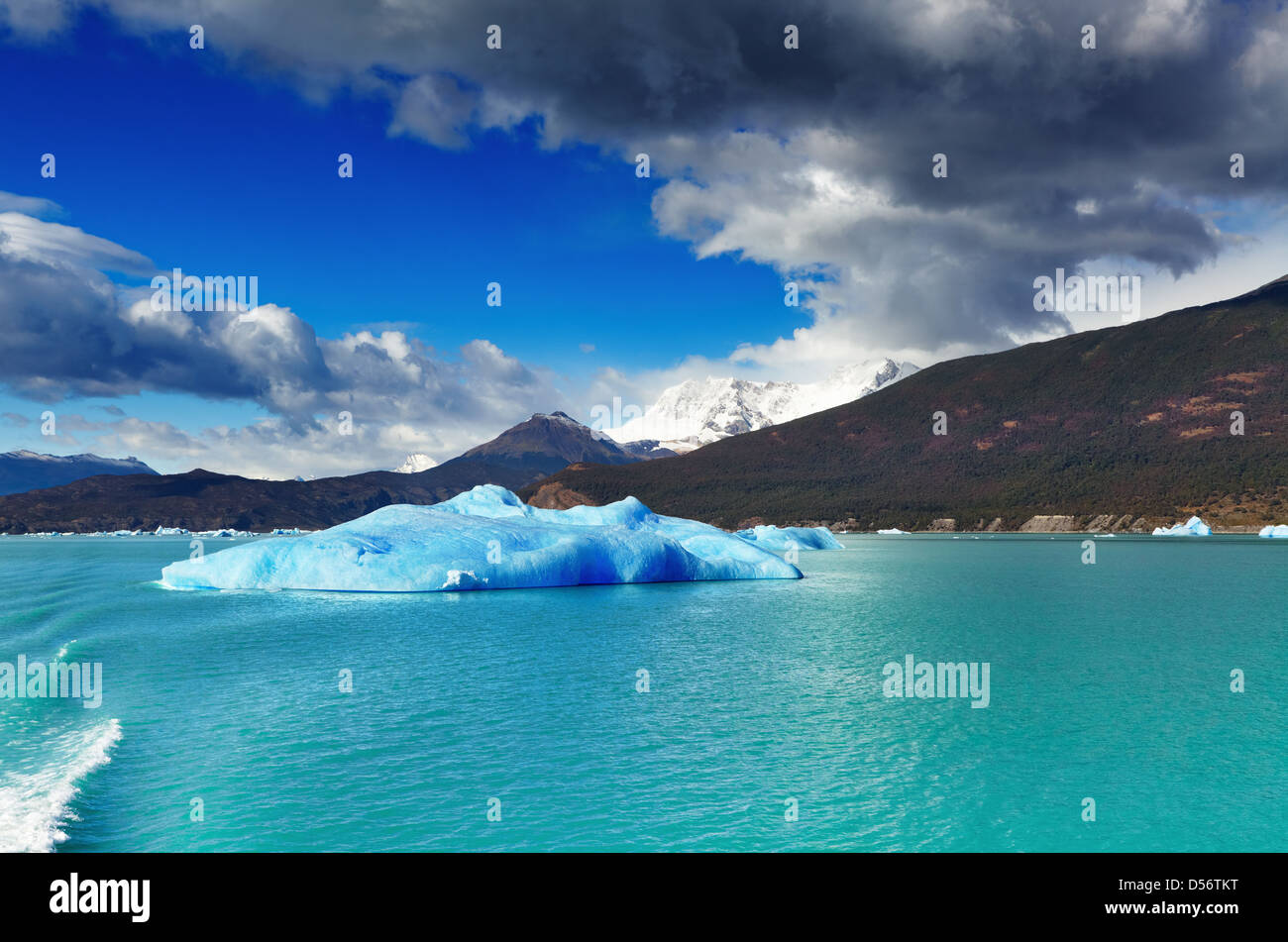 Lago Argentino con ice floes, Patagonia, Argentina Foto Stock