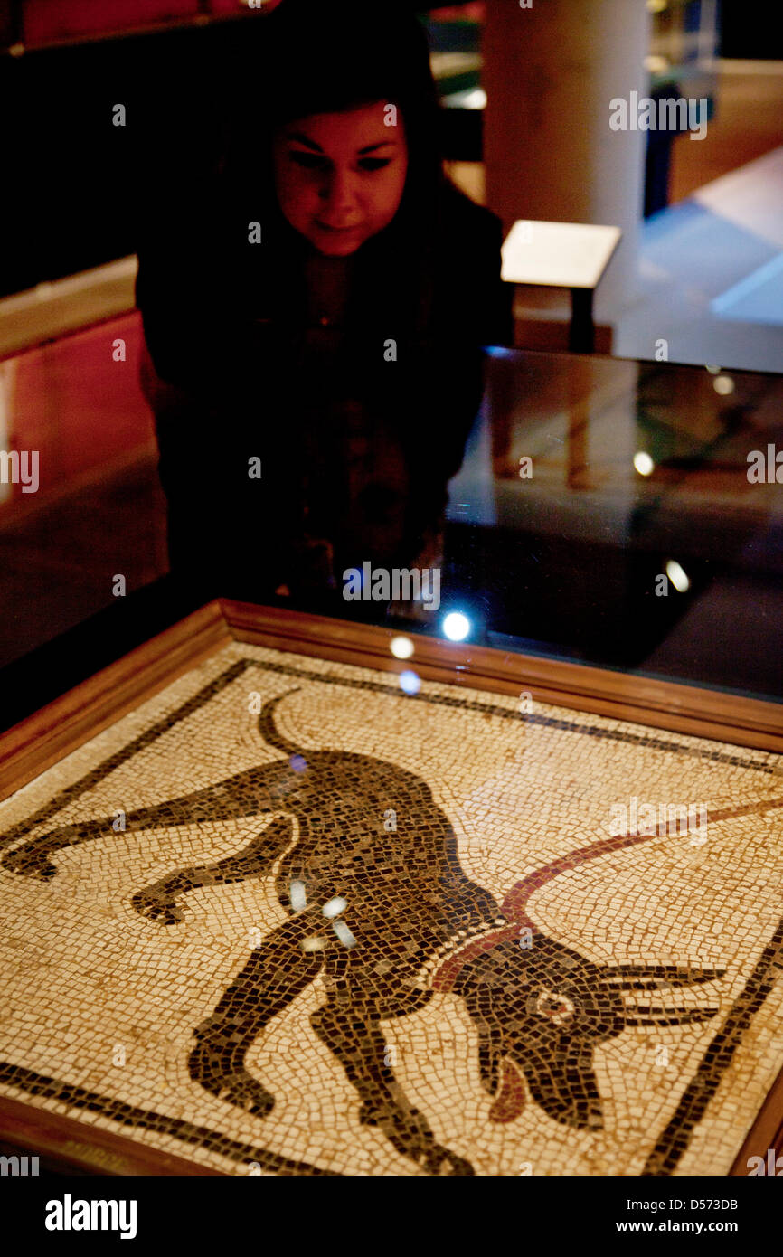 Londra, Regno Unito. Martedì 26 marzo 2013. La vita e la morte a Pompei ed Ercolano in mostra al British Museum. Riunendo oltre 250 oggetti, sia le recenti scoperte e celebrato reperti da scavi in precedenza. Mosaico di un cane da guardia alla casa di Orfeo. I secolo d.c. Credito: Michael Kemp/Alamy Live News Foto Stock