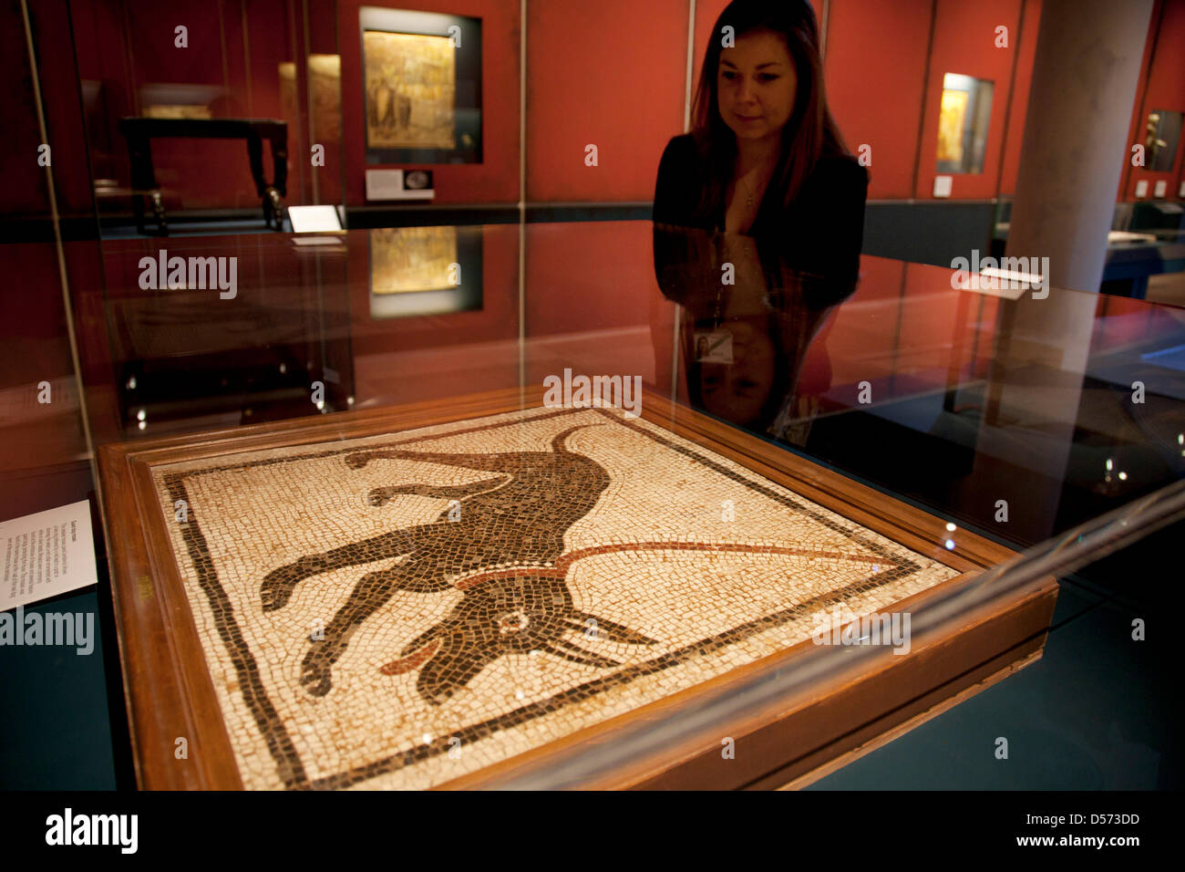 Londra, Regno Unito. Martedì 26 marzo 2013. La vita e la morte a Pompei ed Ercolano in mostra al British Museum. Riunendo oltre 250 oggetti, sia le recenti scoperte e celebrato reperti da scavi in precedenza. Mosaico di un cane da guardia alla casa di Orfeo. I secolo d.c. Credito: Michael Kemp/Alamy Live News Foto Stock