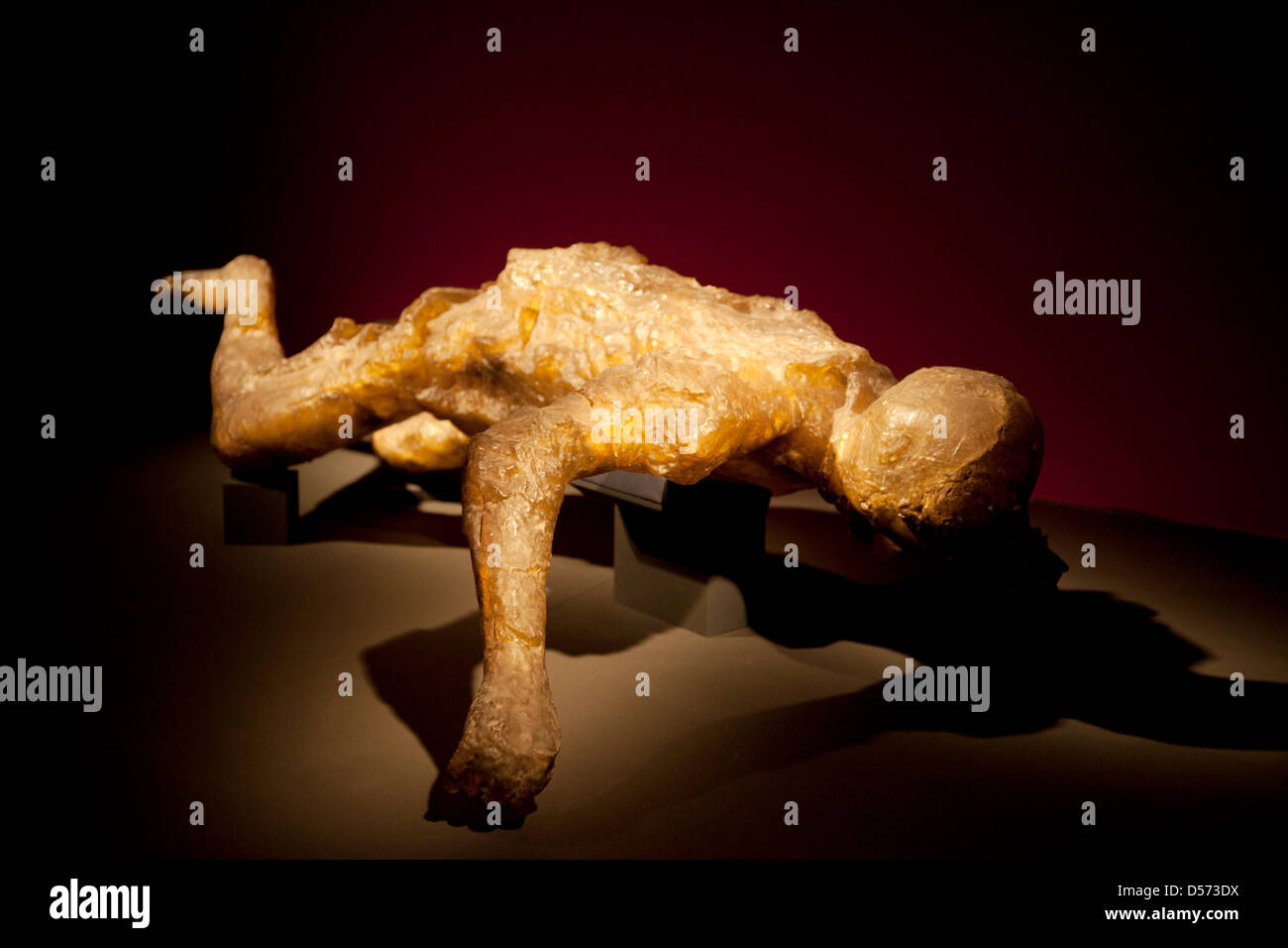 Londra, Regno Unito. Martedì 26 marzo 2013. La vita e la morte a Pompei ed Ercolano in mostra al British Museum. Riunendo oltre 250 oggetti, sia le recenti scoperte e celebrato reperti da scavi in precedenza. Donna colati in resina. Questa donna era uno di 70 persone che sono morte nel seminterrato di una villa a Oplontis vicino a Pompei. La tecnica di resina riempito il vuoto del suo Corpo a sinistra nella cenere risultante in un cast contenente le sue ossa. Credito: Michael Kemp/Alamy Live News Foto Stock