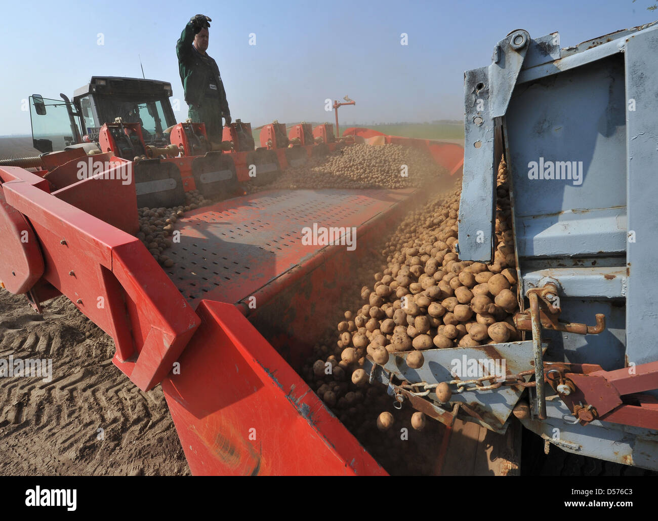 Gli agricoltori seminano patate in Niedergoersdorf distretto rurale vicino a Teltow Flaeming, Germania, 19 aprile 2010. Agrar Oehnaland GmbH ha piantato alcuni 25 milioni di patate su 530 ettari. L'azienda agricola, che è uno dei più grandi produttori di potatoe nella Germania nord orientale di Stato del Land di Brandeburgo, impiega uno staff di 69 e 7 partecipanti. Foto: Bernd Settnik Foto Stock