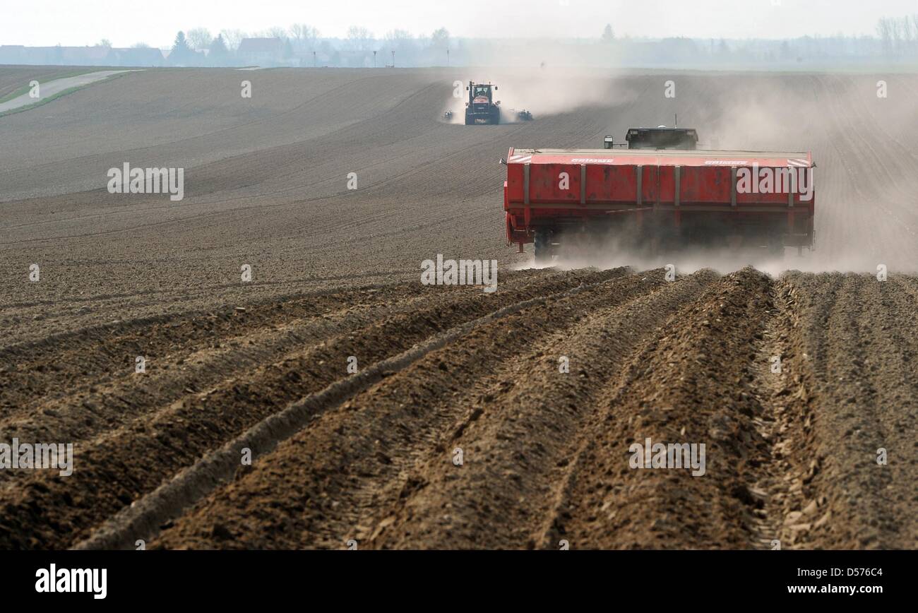 Gli agricoltori seminano patate in Niedergoersdorf distretto rurale vicino a Teltow Flaeming, Germania, 19 aprile 2010. Agrar Oehnaland GmbH ha piantato alcuni 25 milioni di patate su 530 ettari. L'azienda agricola, che è uno dei più grandi produttori di potatoe nella Germania nord orientale di Stato del Land di Brandeburgo, impiega uno staff di 69 e 7 partecipanti. Foto: Bernd Settnik Foto Stock