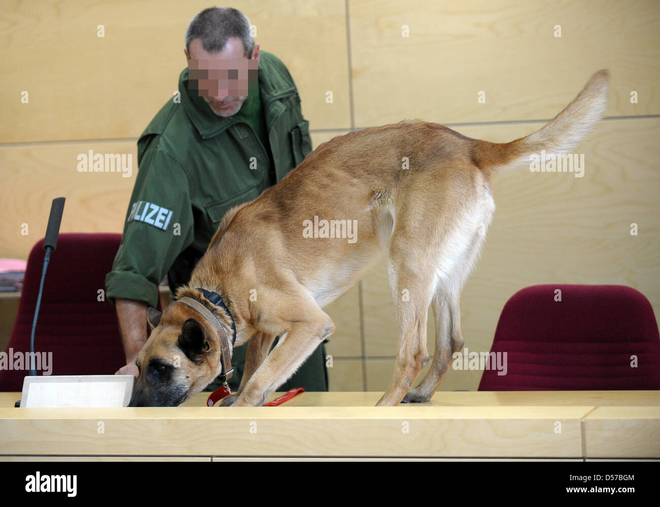 Un funzionario di polizia consente un rilevamento esplosivi cane cerca le aule di tribunale presso la corte distrettuale a Kaiserslautern, in Germania, 04 maggio 2010. La corte distrettuale annuncerà il verdetto su 04 Maggio 2010 in un omicidio di prova, in cui due uomini del moto club ''Hells Angels'' sono accusati di aver ucciso il capo di ''fuorilegge'' vicino Donnersbergkreis. Foto: Ronald Wittek Foto Stock