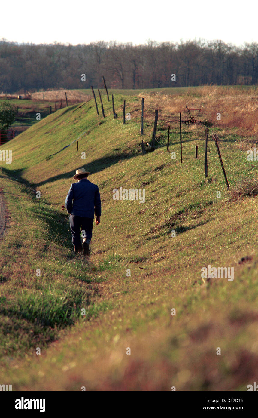 Pennsylvania Dutch uomo cammina nella sua fattoria campo, Pennsylvania Dutch immigrati, Amish, mennonita, in lingua tedesca, Pennsylvania, Foto Stock