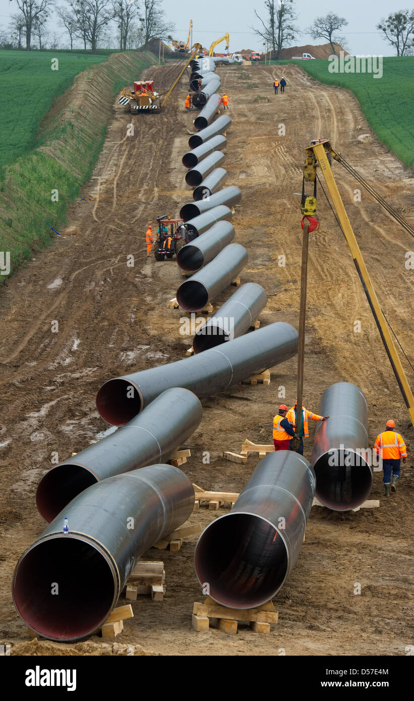 La pipeline 'Opal traccia" dell'azienda Wingas GmbH & Co. KG è costruito vicino Wriezen, Germania, 10 maggio 2010. Alcuni lavoratori 2500 costruire la 470 km di lunghezza del Mar Baltico tubazione di collegamento di linea 'opal' attraverso Mecklenburg-Vorpommern, Brandenburg e Sassonia. La pipeline è previsto per essere messo in funzione in autunno 2011. Foto: Patrick Pleul Foto Stock