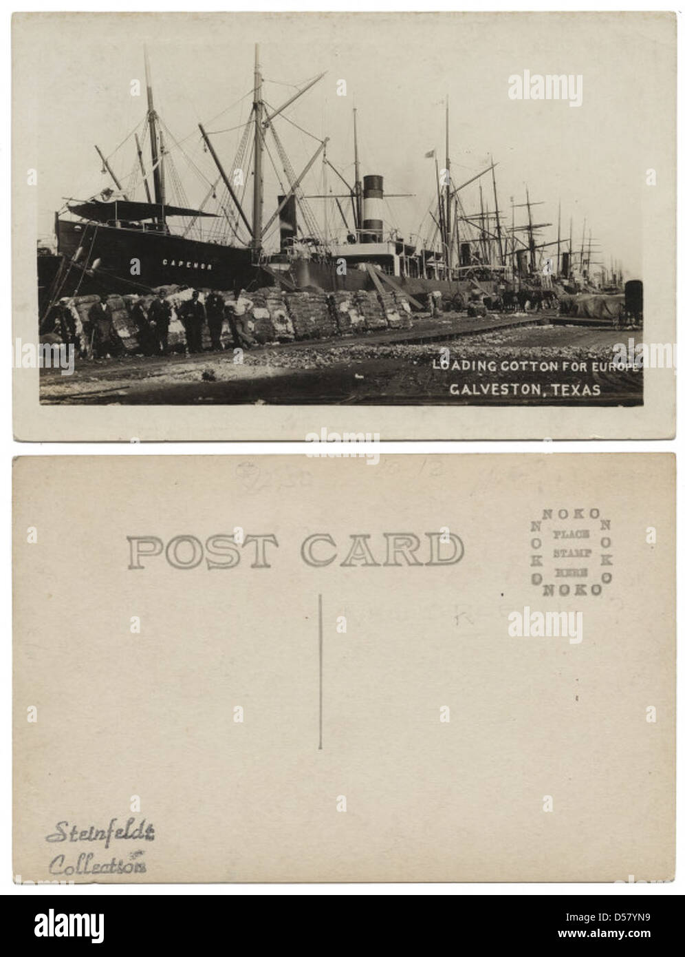 Una fotografia storica del cotone caricato sulle navi presso i moli di Galveston, Texas, che illustra il ruolo della regione nel commercio del cotone e nell'industria globale dell'esportazione all'inizio del XX secolo. Foto Stock