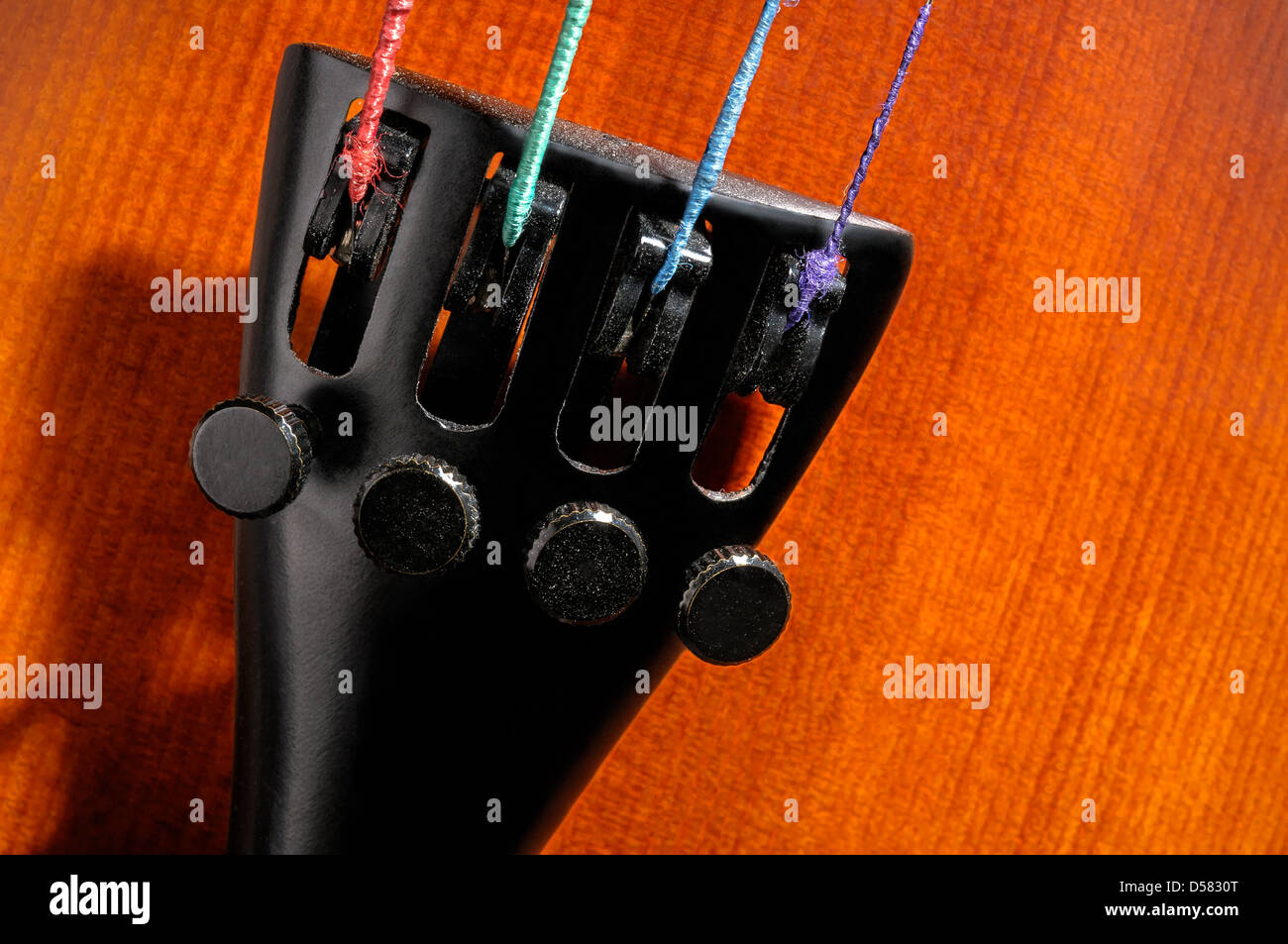 Cordiera per violino dettaglio Foto Stock