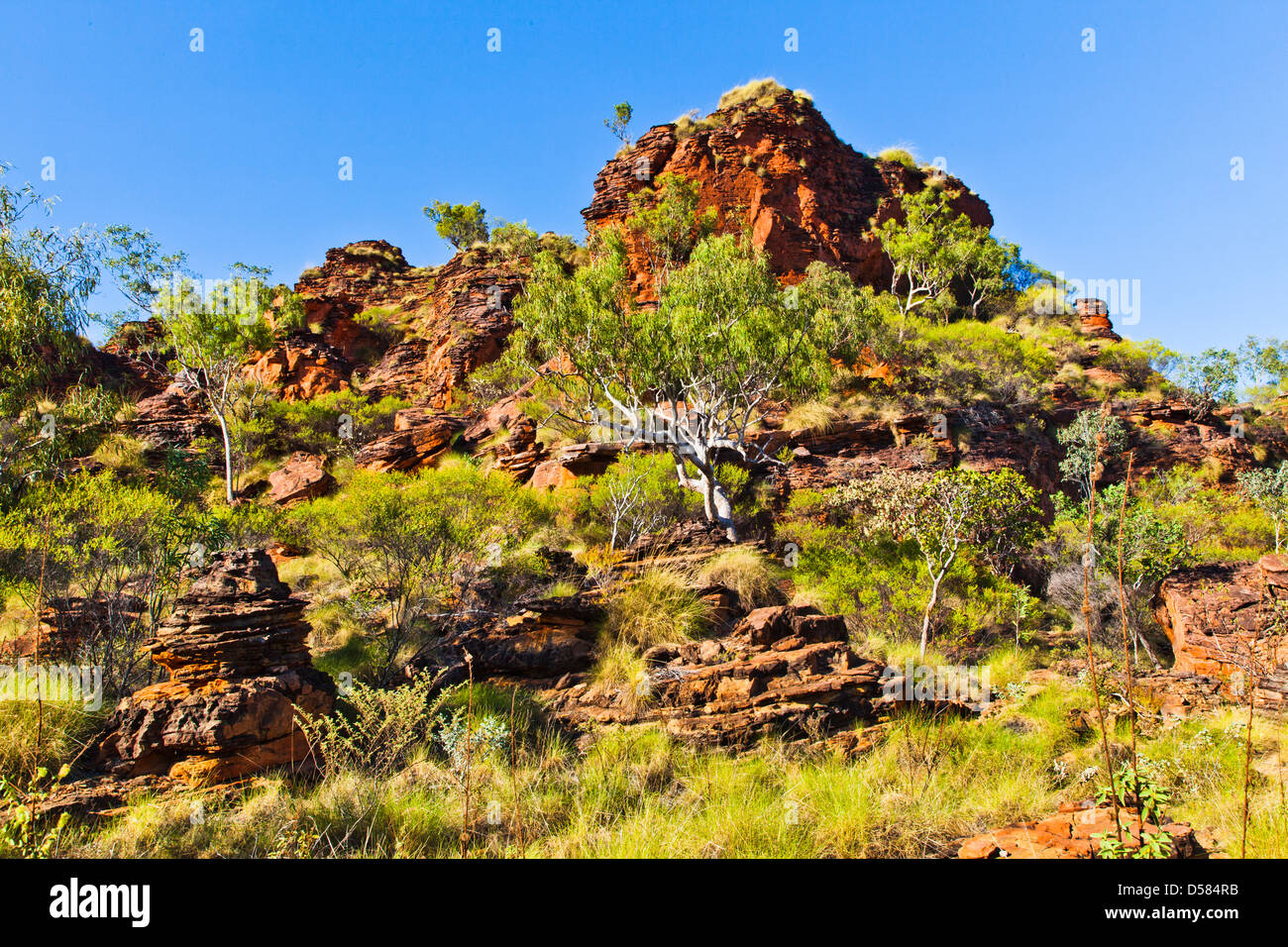 Australia, Australia occidentale, Kununurra, robusto scolpita la formazioni di arenaria a, il Mirima Hidden Valley National Park Foto Stock