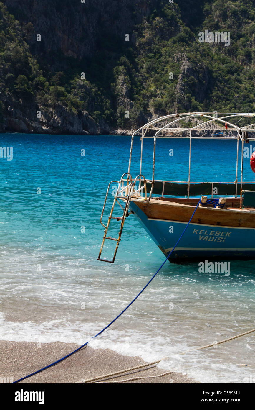 Le acque blu della costa turchese nella Valle delle Farfalle, Oludeniz, Turchia Foto Stock