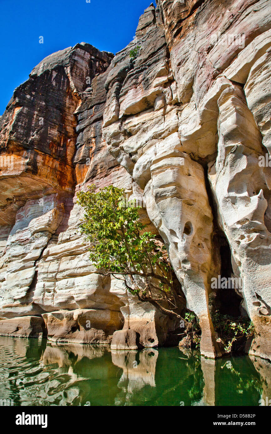 Western Australia, Kimberley, Geikie Gorge Foto Stock
