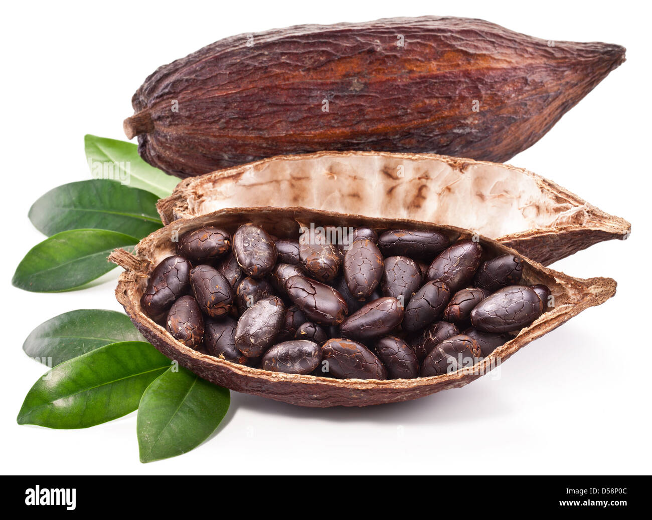 Pod di cacao su uno sfondo bianco. Foto Stock