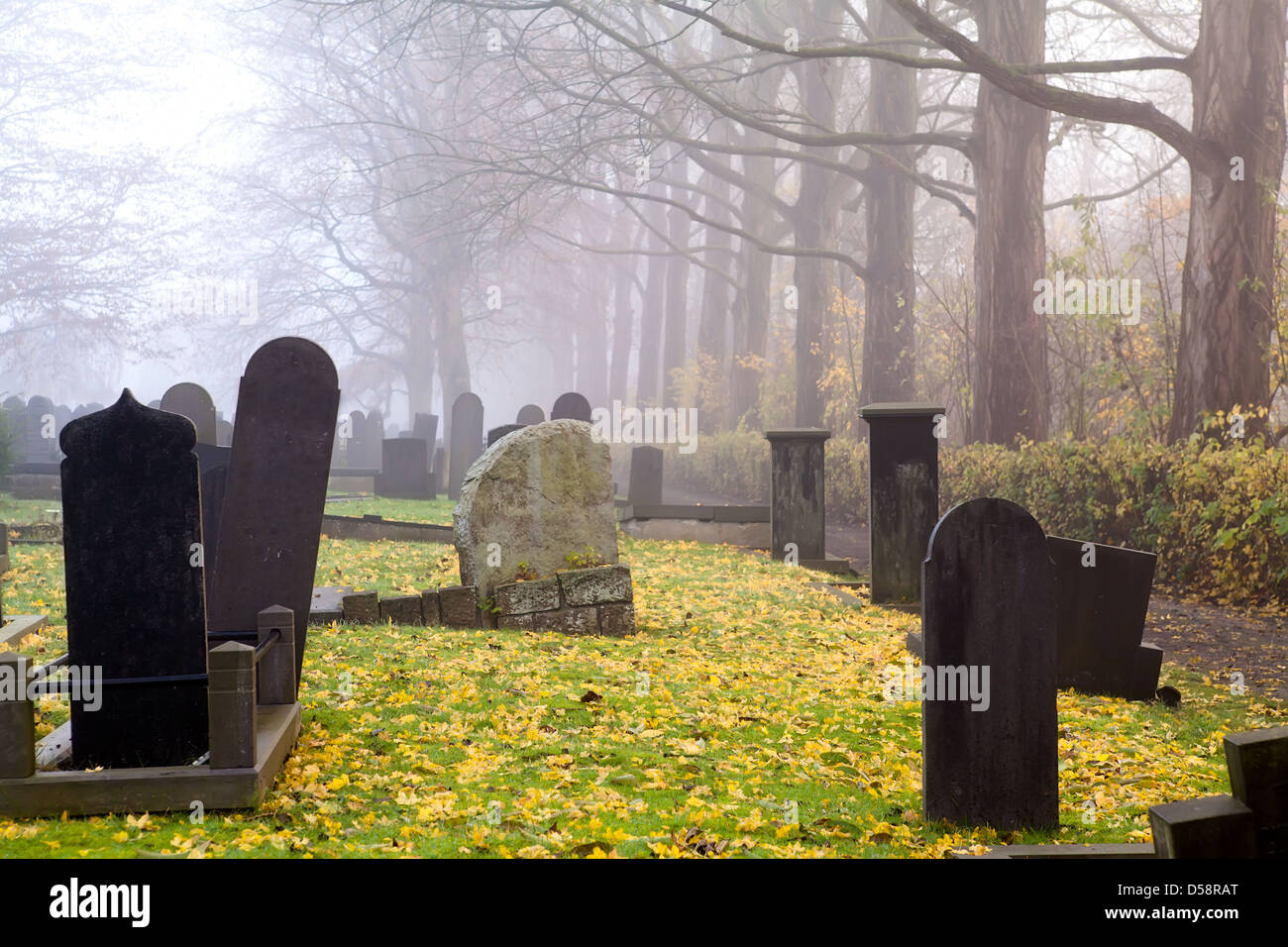 Graves sul cimitero in autunno nebbioso giorno Foto Stock