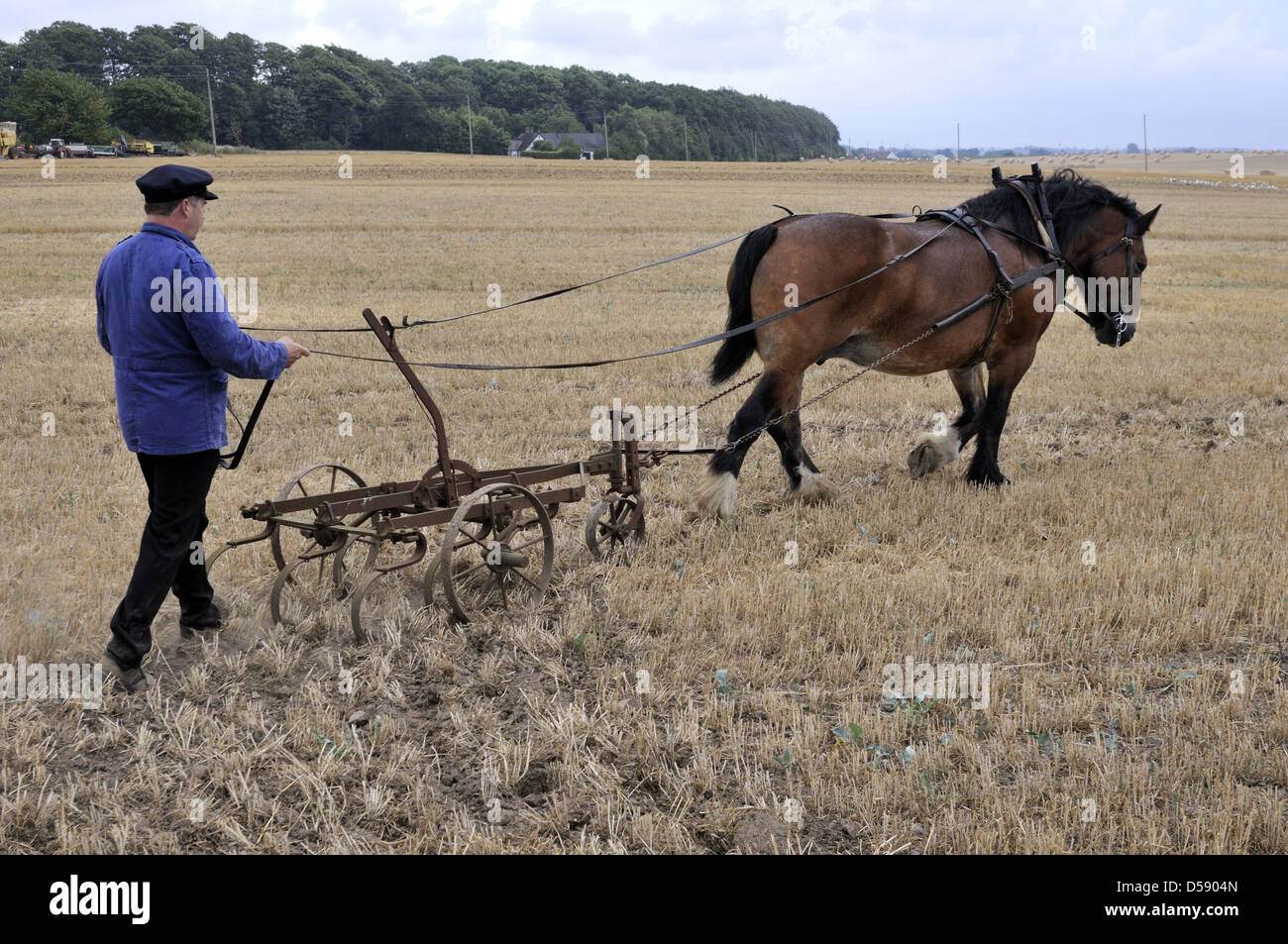 Oldfashioned agricola con carrello-cavallo e harrow da vecchi giorni Foto Stock