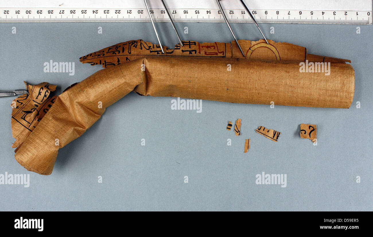 Datata Università di Scienze Applicate di Colonia handout di un non ancora srotolato 3.500 anni Libro Egiziano dei Morti papiro sul display a Colonia, in Germania. Il papiro è stato srotolato per la prima volta, essa non era stata toccata per timore di provocare danni. A umidità del 97 per cento e a una temperatura di 28 gradi Celsius, il Libro dei Morti è stato srotolato su un arco di FIV Foto Stock