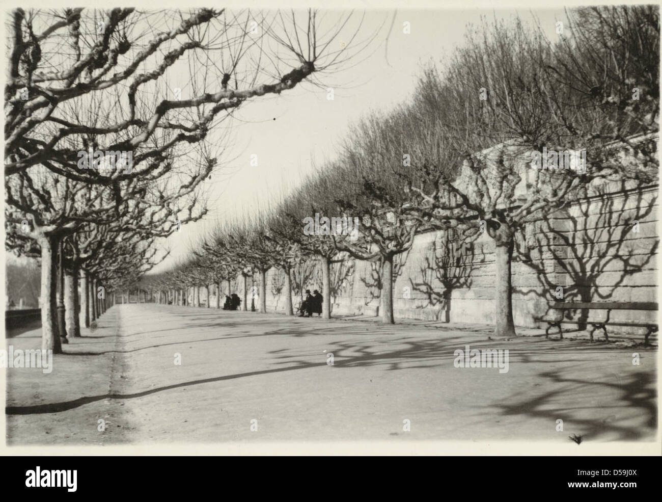 Una fotografia di le Peyrou, la terrazza orientale di Montpellier, in Francia, con panchine del parco, alberi pollarded e una vista estesa del paesaggio urbano circostante, catturando l'atmosfera di svago del parco. Foto Stock