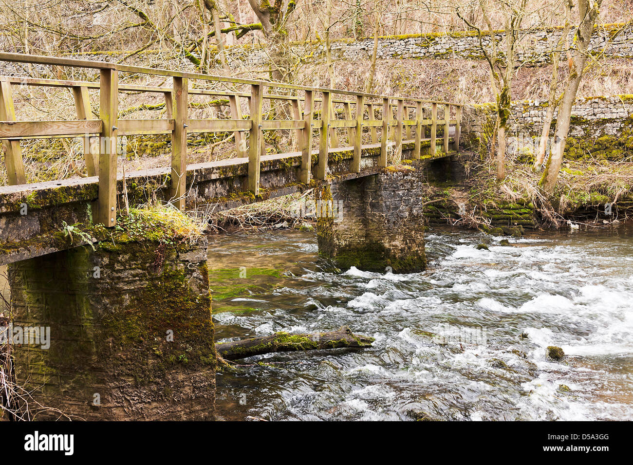 Ponte pedonale oltre il fiume Wye vicino Millers Dale Tideswell Derbyshire Peak District Inghilterra Regno Unito Regno Unito Foto Stock