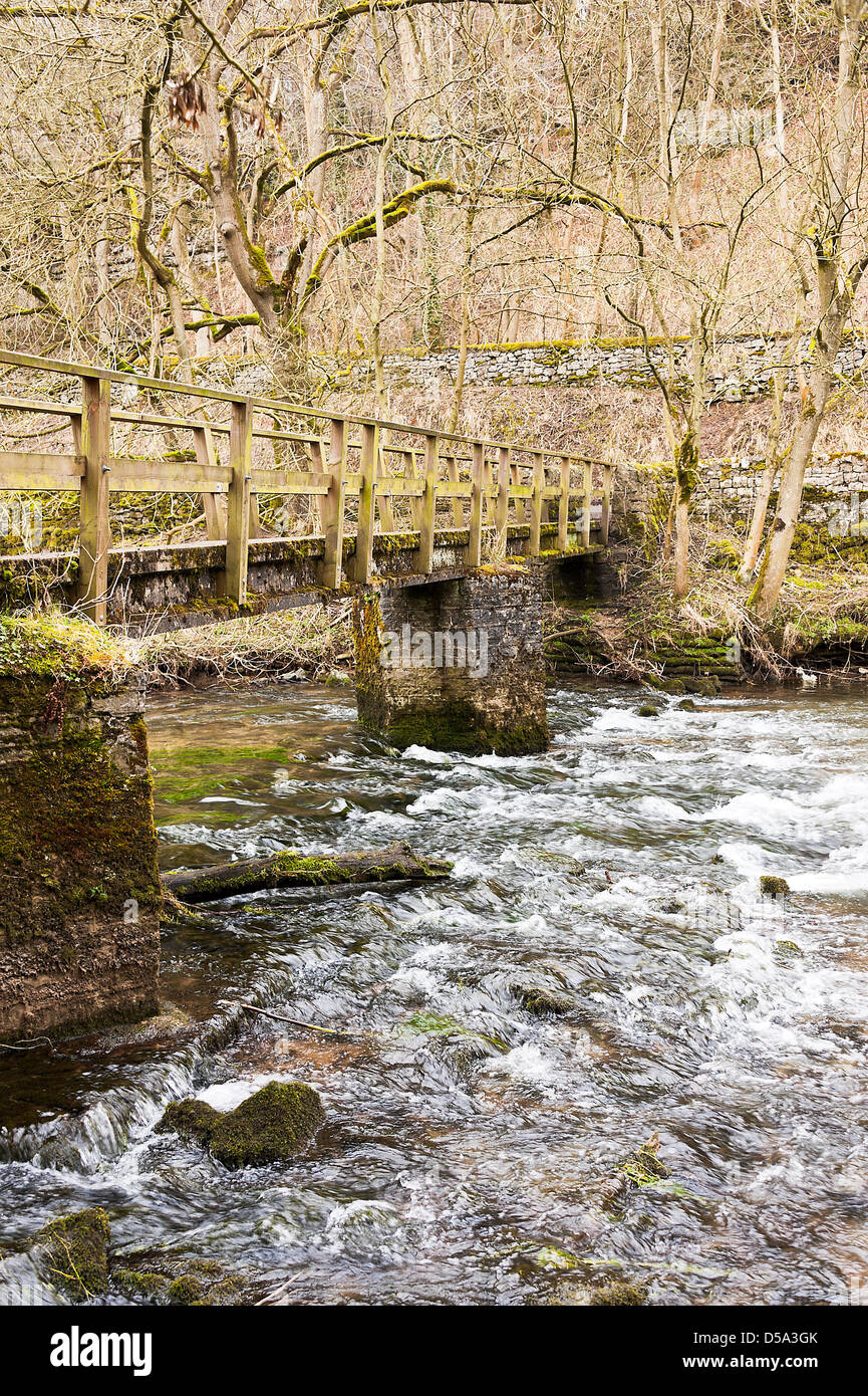 Ponte pedonale oltre il fiume Wye vicino Millers Dale Tideswell Derbyshire Peak District Inghilterra Regno Unito Regno Unito Foto Stock