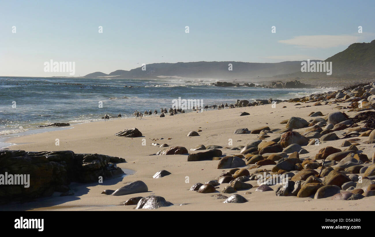Spiaggia solitaria, Capo di Buona Speranza, sud africa Foto Stock
