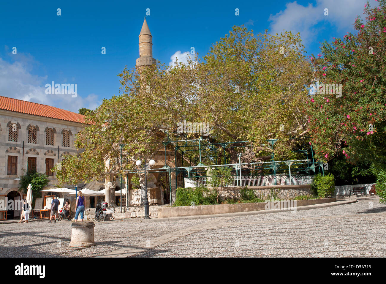 La struttura ad albero sotto il quale Ippocrate è sospettato di aver insegnato nella città di Kos sull'isola greca di Kos nel Dodecanneso gruppo Foto Stock