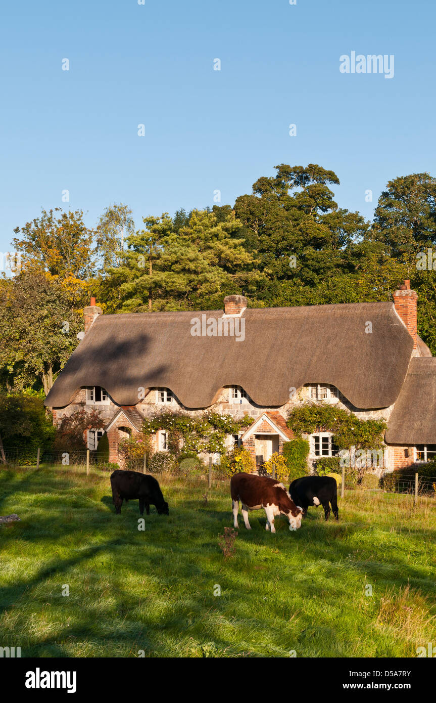 Cottage con il tetto di paglia nel villaggio di Lockeridge, Wiltshire, Regno Unito Foto Stock